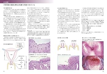 カラー図解人体の正常構造と機能　使用感少ない　美品 カラー図解 人体の正常構造と機能 全10巻縮刷版【電子書籍つき